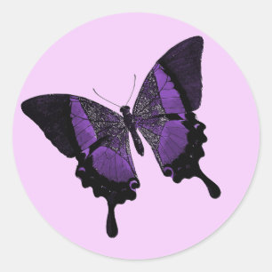 Pegatina Redonda Mariposa