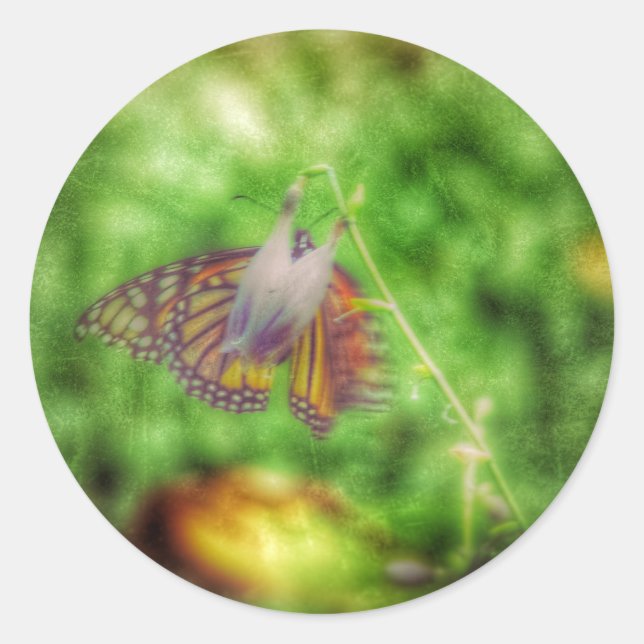 Pegatina Redonda Mariposa (Anverso)
