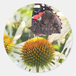 Pegatina Redonda Mariposa almirante en la flor