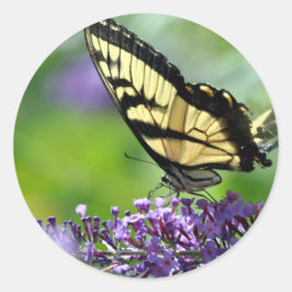 Pegatina Redonda Mariposa amarilla y negra en Lavender