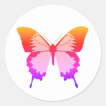 Mariposa Arcoíris Blanca illusima