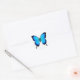 Pegatina Redonda Mariposa azul de Papilio Ulises (Sobre)