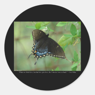 Pegatina Redonda Mariposa Cola de Golondrina Negra - Regalos de Amo