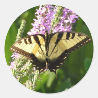 Pegatina Redonda Mariposa de cola cruda sobre flores silvestres mor