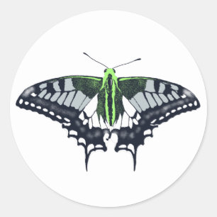 Pegatina Redonda Mariposa de cola de cerda con bandera de género