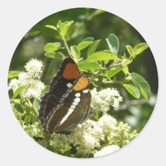 Pegatina Redonda Mariposa Hermana de California en Yosemite