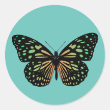 Mariposa manchada de naranja y verde