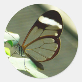 Pegatina Redonda Mariposa marrón blanca y translúcida