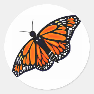 Pegatina Redonda Mariposa monarca