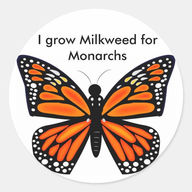 Pegatina Redonda Mariposa monarca (Anverso)