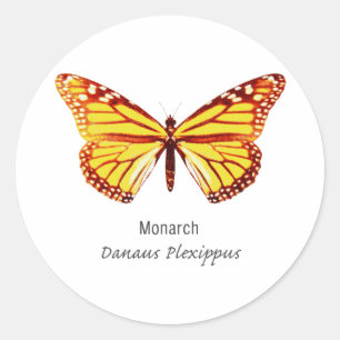 Pegatina Redonda Mariposa monarca con nombre