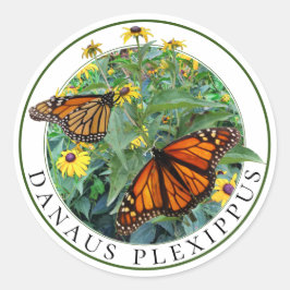 Pegatina Redonda Mariposa monarca y Susan Rudbeckia de ojos negros