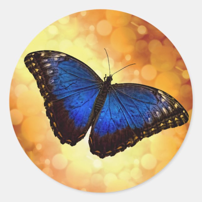 Pegatina Redonda Mariposa morfa azul (Anverso)