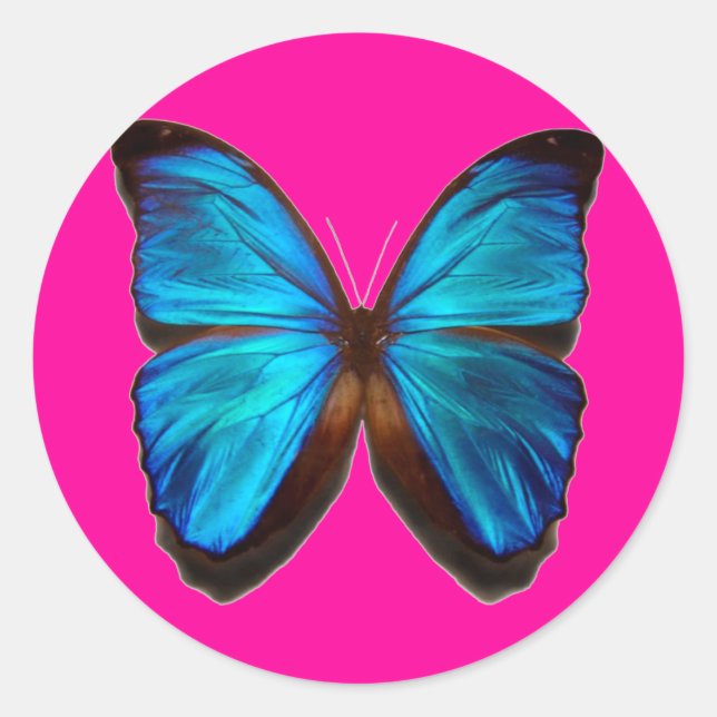 Pegatina Redonda Mariposa morfa azul (Anverso)