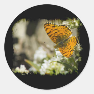 Pegatina Redonda Mariposa naranja