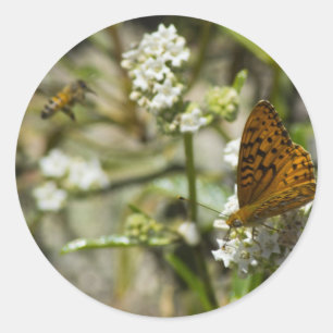 Pegatina Redonda Mariposa naranja y abeja