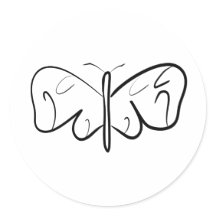 mariposa negra y blanca