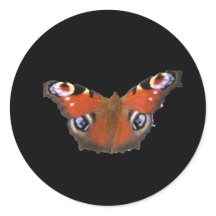 Mariposa Peacock De KABFA