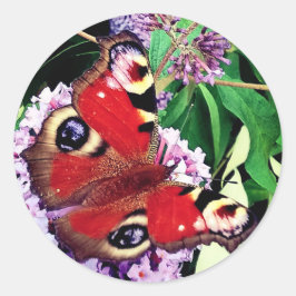 Pegatina Redonda Mariposa roja