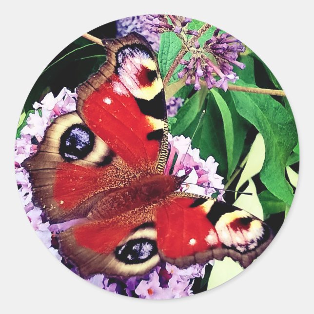 Pegatina Redonda Mariposa roja (Anverso)