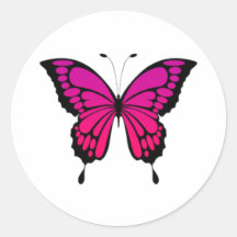 Mariposa rosa y morada