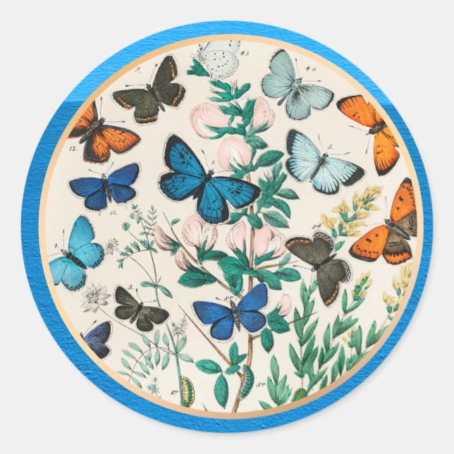 Pegatina Redonda Mariposas, marco azul (Anverso)