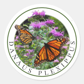 Pegatina Redonda Mariposas monarcas y Monarda de Bee Balm