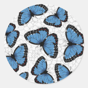 Pegatina Redonda Mariposas morfo azules
