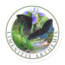 Mariposas púrpuras con manchas rojas y Iris con ba