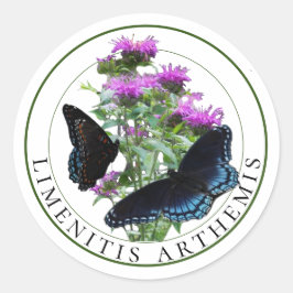 Pegatina Redonda Mariposas púrpuras localizadas rojas en Bee Balm