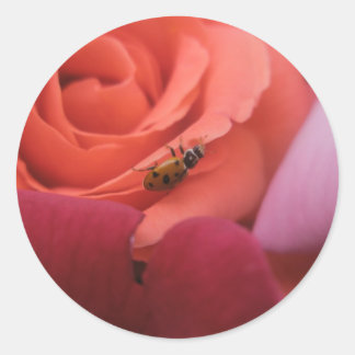 Pegatina Redonda mariquita Rosas