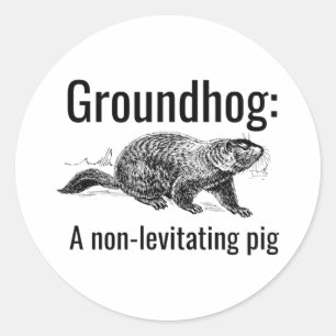 Pegatina Redonda Marmota Un Cerdo No Levitante Chiste Divertido