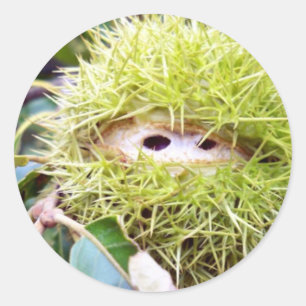 Pegatina Redonda Marrón claro