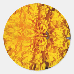 Pegatina Redonda Marygold