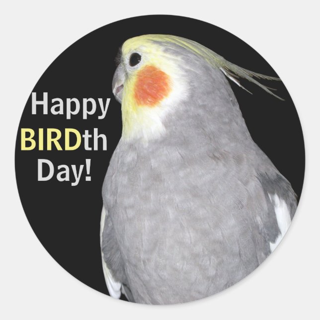 Pegatina Redonda Mascota Bird Cockatiel Photo Happy BIRD Day Birthd (Anverso)