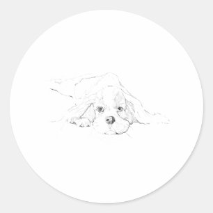 Pegatina Redonda Mascota Cavalier King Charles Spaniel