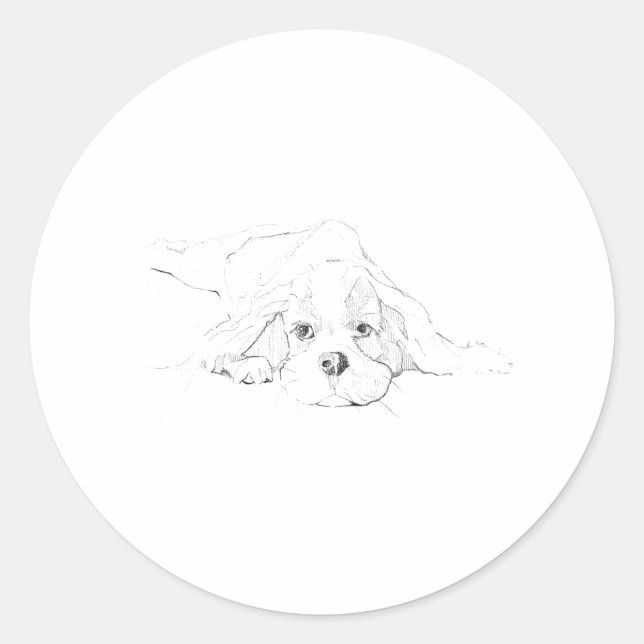 Pegatina Redonda Mascota Cavalier King Charles Spaniel (Anverso)