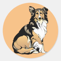 mascota de perro collie ástica
