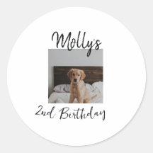 Mascota gato perro foto de cumpleaños animal simpl