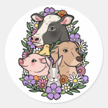 Mascota No Alimentos