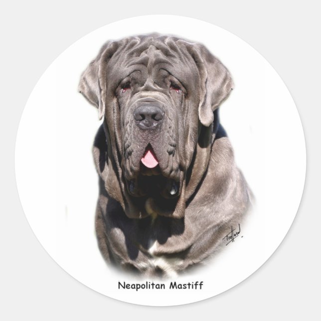 Pegatina Redonda Mastiff napolitano (Anverso)