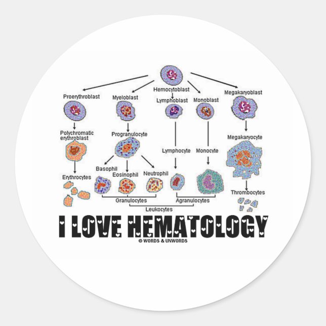 Pegatina Redonda Me Encanta La Hematología (Linaje De Células Sangr (Anverso)