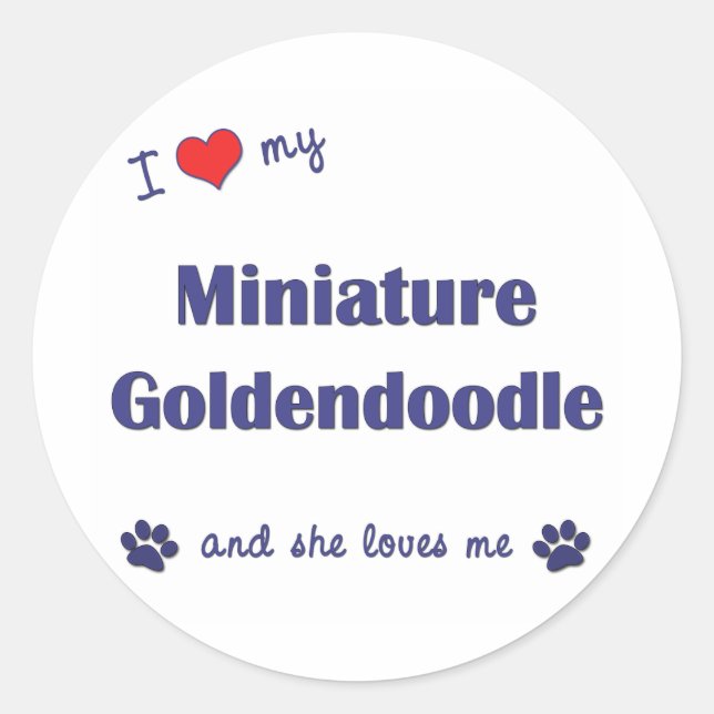 Pegatina Redonda Me Encanta Mi Miniatura Goldendoodle (Perro Femeni (Anverso)