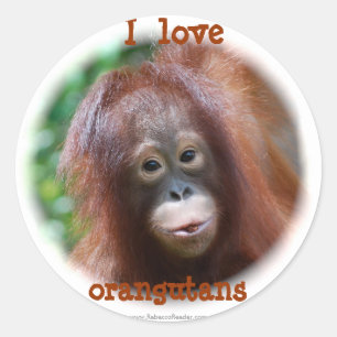 Pegatina Redonda Me encantan los orangutanes