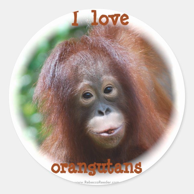 Pegatina Redonda Me encantan los orangutanes (Anverso)