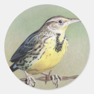 Pegatina Redonda Meadowlark occidental
