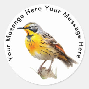 Pegatina Redonda Meadowlark oriental