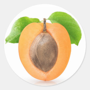 Pegatina Redonda Media auricular