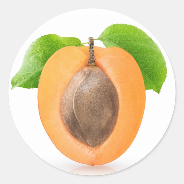 Pegatina Redonda Media auricular (Anverso)