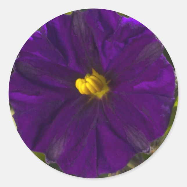 Pegatina Redonda Medianoche Shade (Anverso)